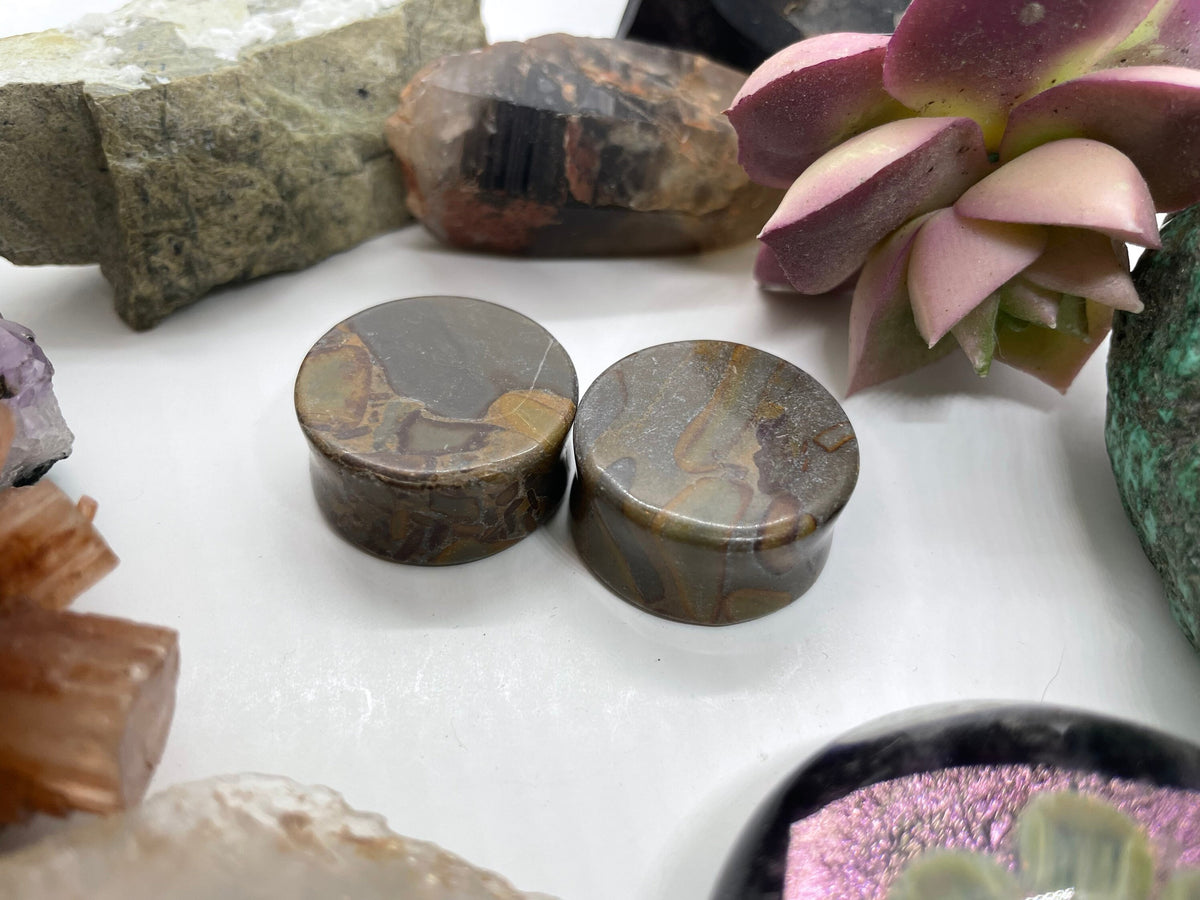 OOAK Grey Bamboo Jasper Plugs – 1" (25mm)