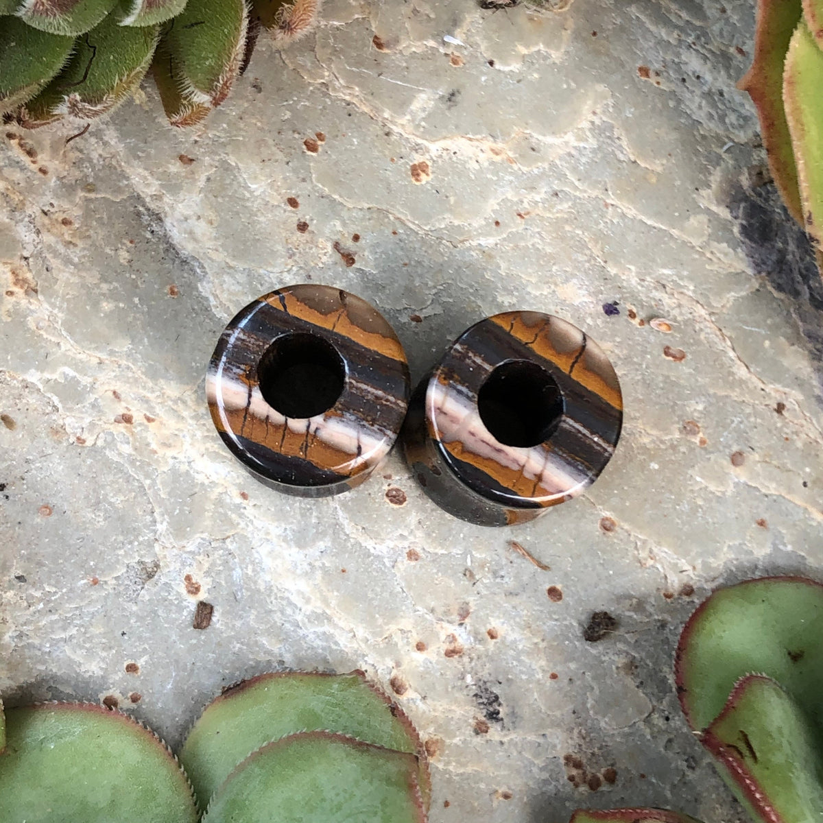 OOAK Tiger Iron Stone Tunnels – 7/16" (11mm)
