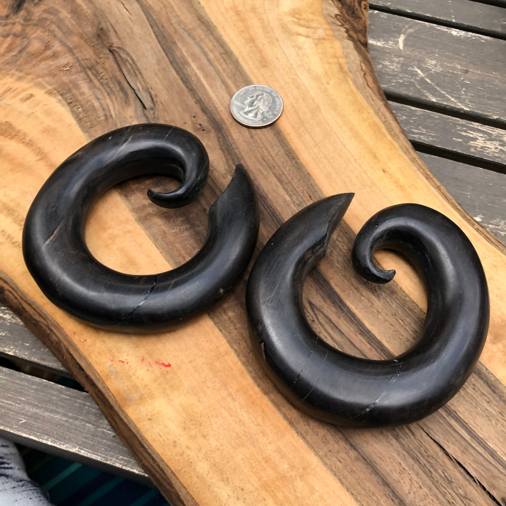 Ebony Wood Hoop Gauges – Limited Edition