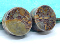 OOAK Jasper Stone Plugs – 1" (25mm)