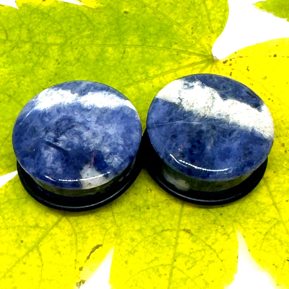 OOAK Sodalite Stone Plugs – 1" (25mm) Single Flared