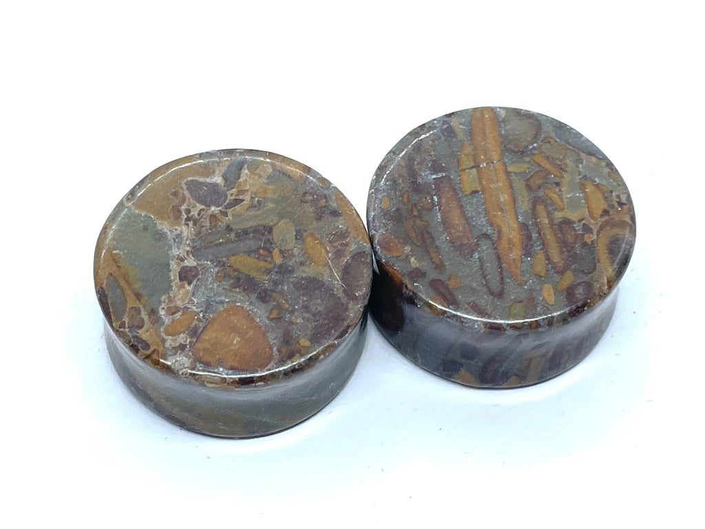 OOAK Jasper Stone Plugs – 1" (25mm)