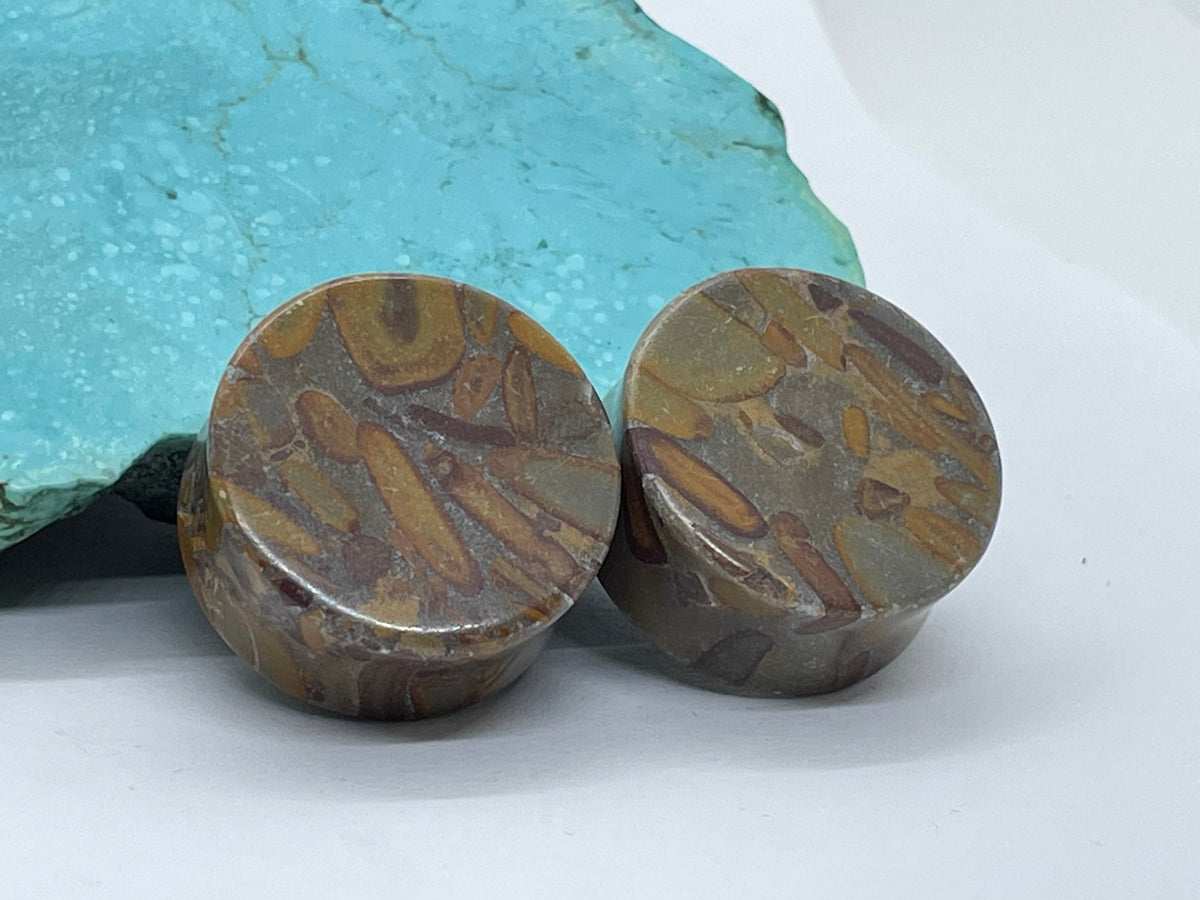 OOAK Jasper Stone Plugs – 1" (25mm)