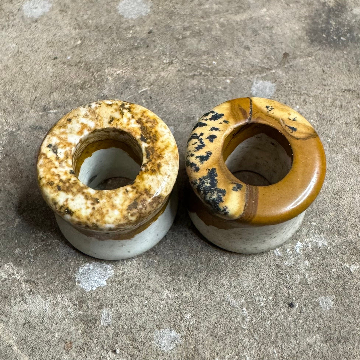 OOAK Reversible Picture Jasper Tunnels – 9/16" (14mm)