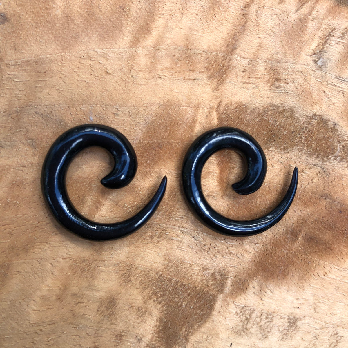 Classic Water Buffalo Horn Spiral Earrings
