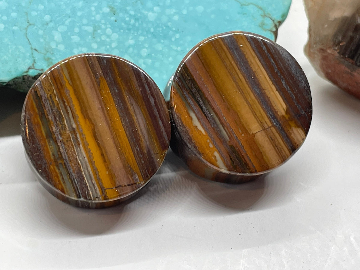 OOAK Tiger Iron Plugs – 7/8" (22mm)