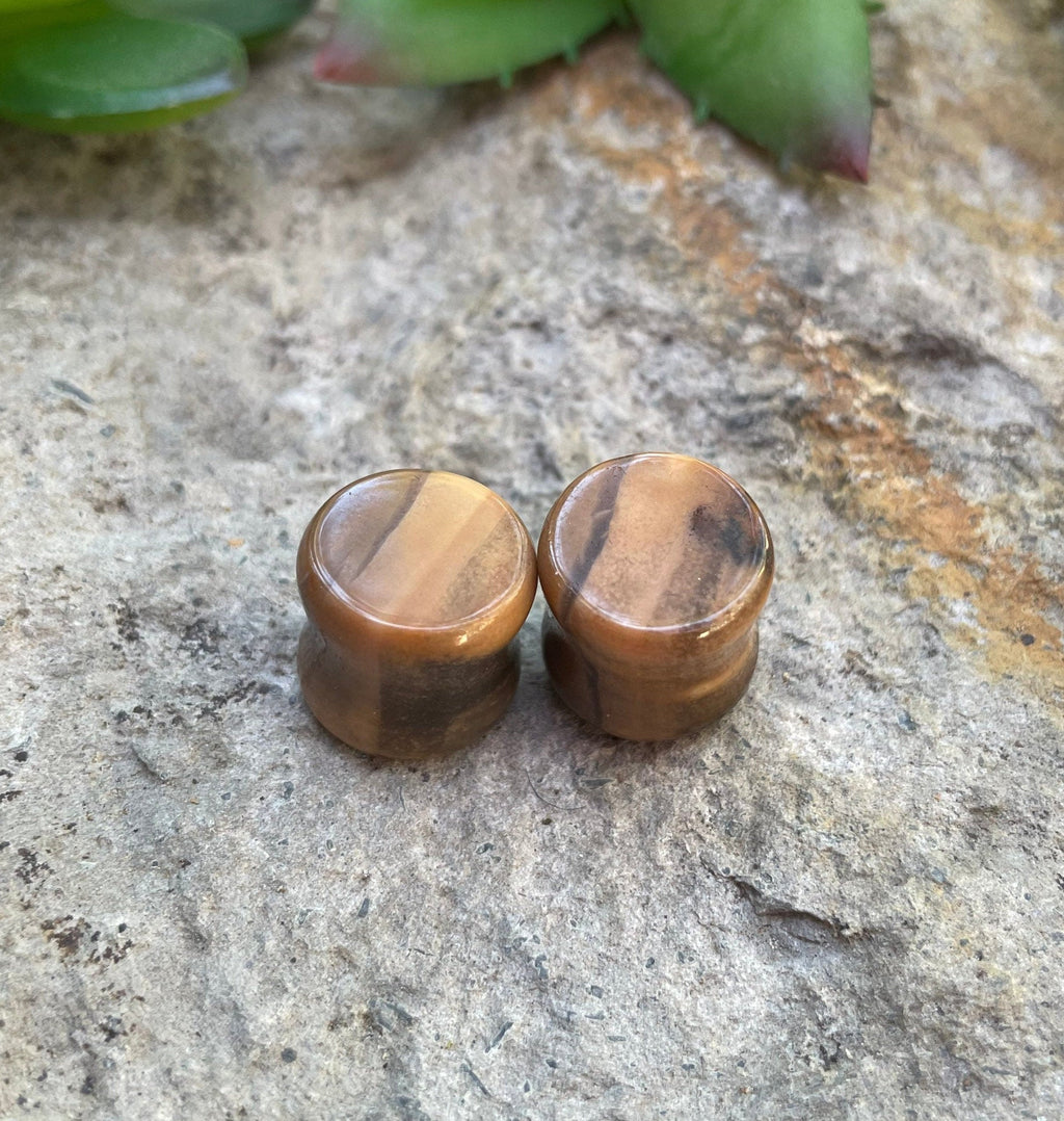 OOAK Petrified Wood Stone Plugs – 1/2" (13mm)
