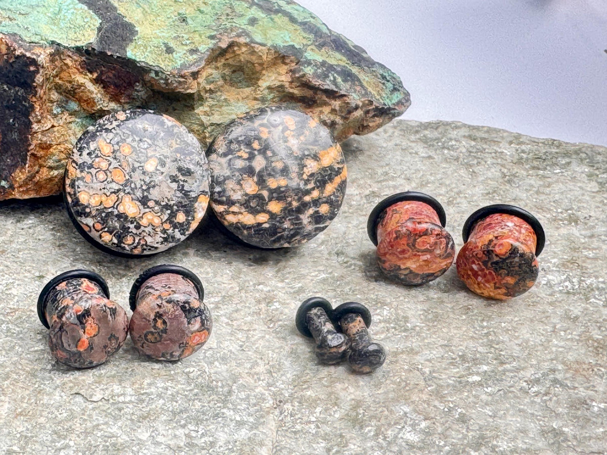 Leopardskin Jasper Plugs – Single Flared Ear Gauges