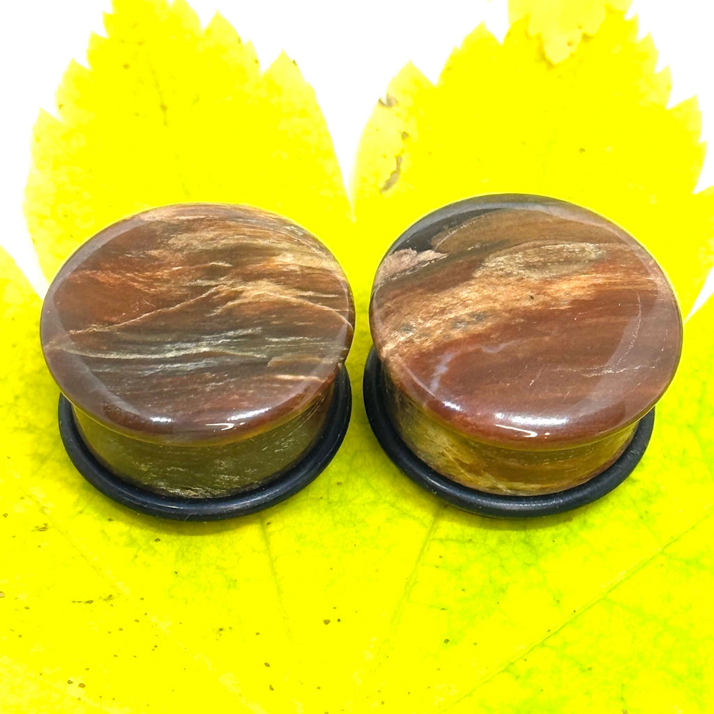 OOAK Petrified Wood Plugs – 3/4" (19mm) Single Flared
