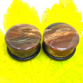 OOAK Petrified Wood Plugs – 3/4" (19mm) Single Flared