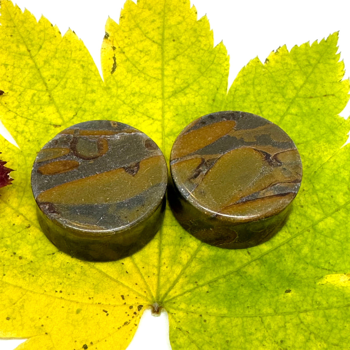OOAK Bamboo Jasper Plugs – 1" (25mm) Double Flared