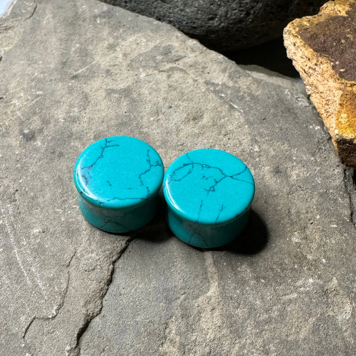 OOAK Synthetic Turquoise Plugs – 3/4" (19mm) Double Flared