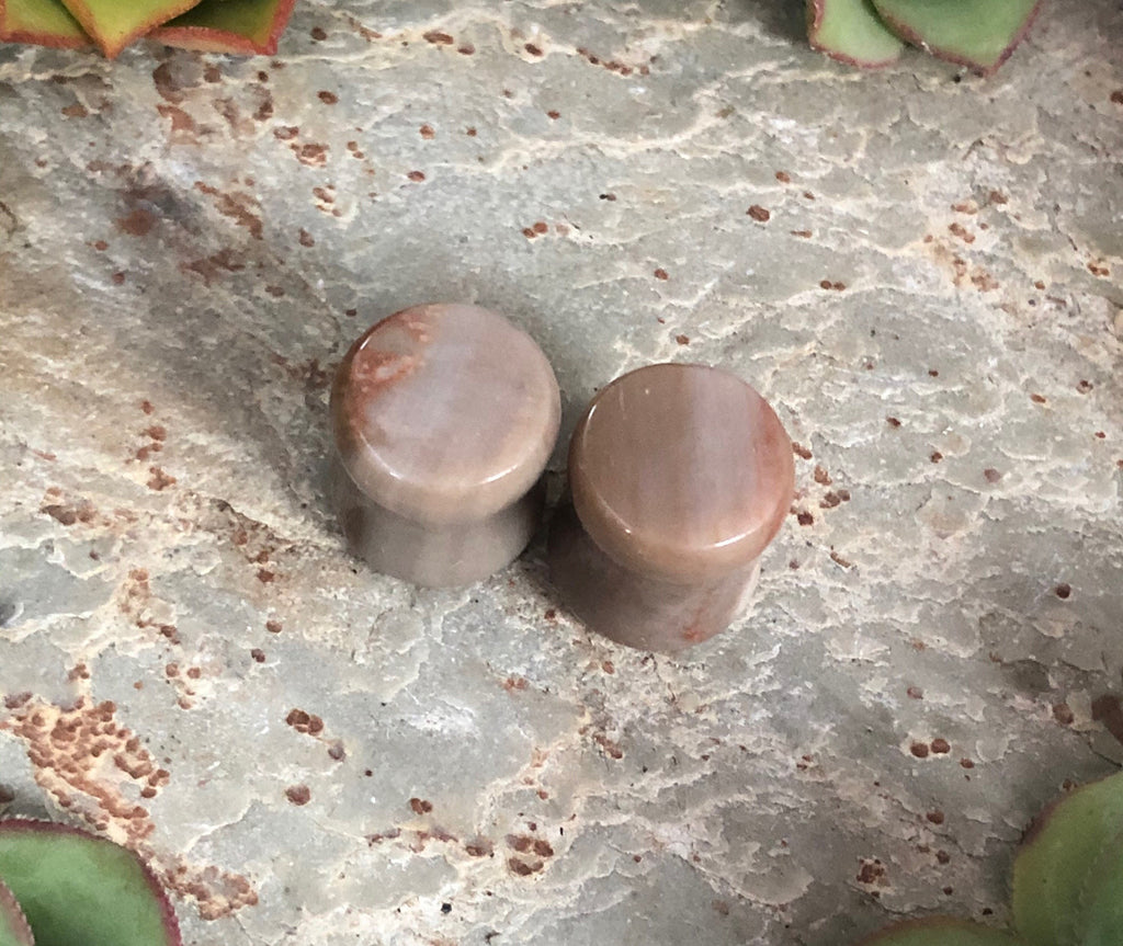 OOAK Petrified Stone Plugs – 00g (10mm)