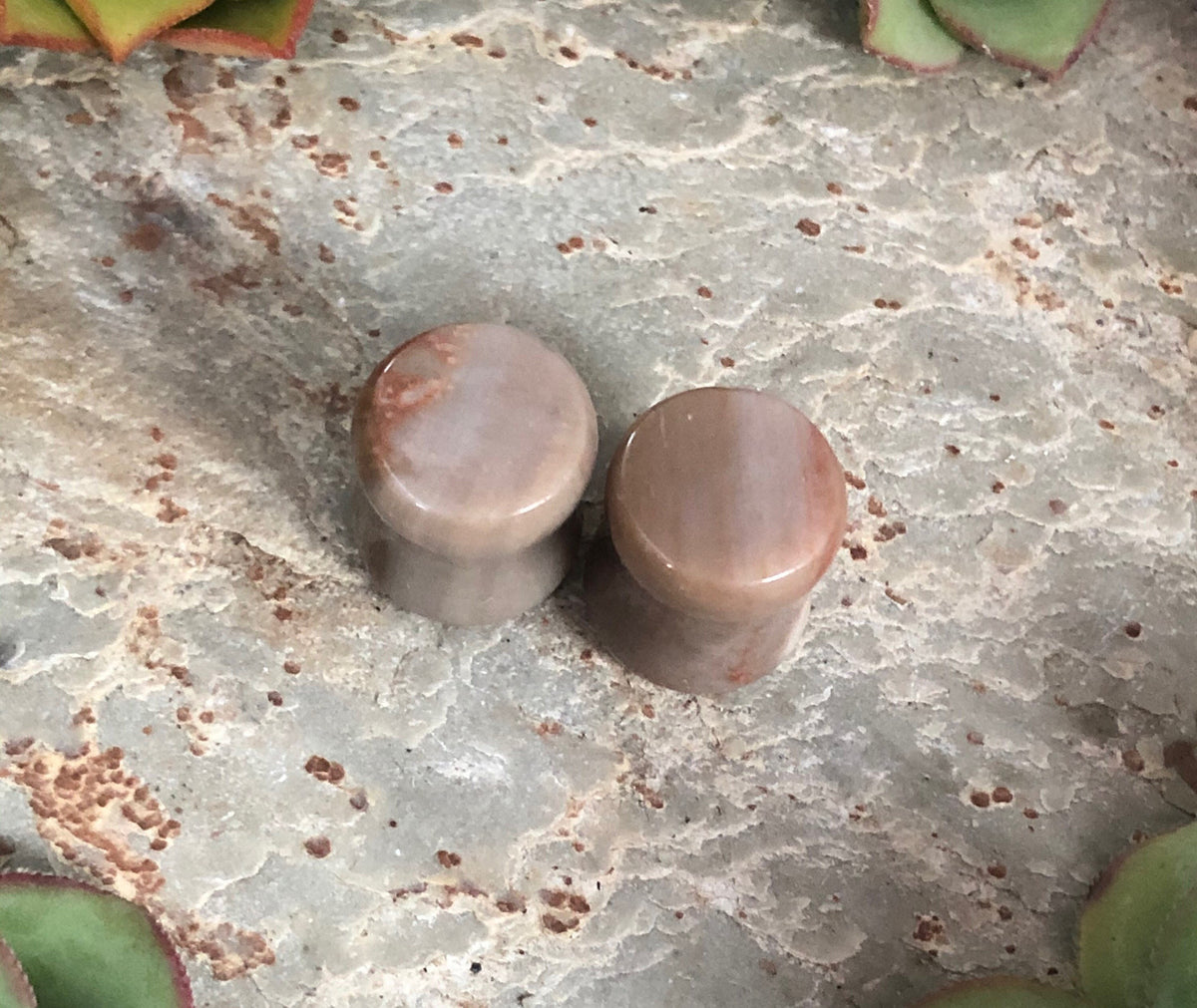 OOAK Petrified Stone Plugs – 00g (10mm)