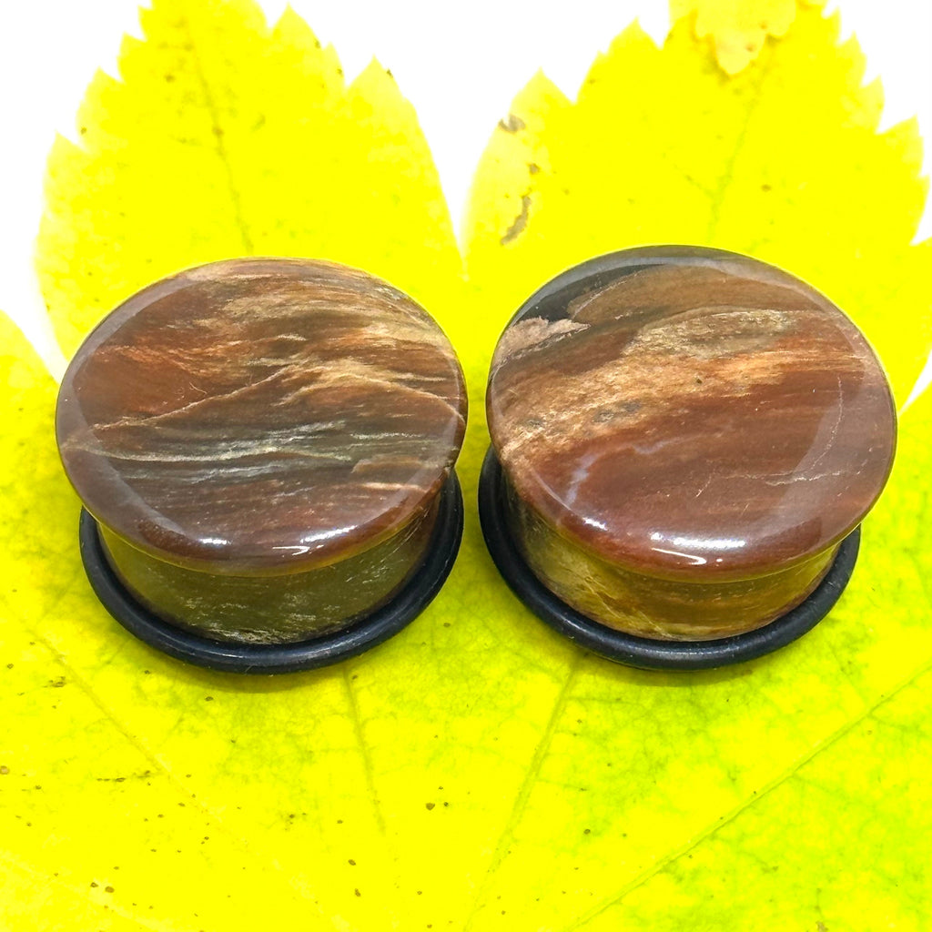OOAK Petrified Wood Plugs – 3/4" (19mm) Single Flared