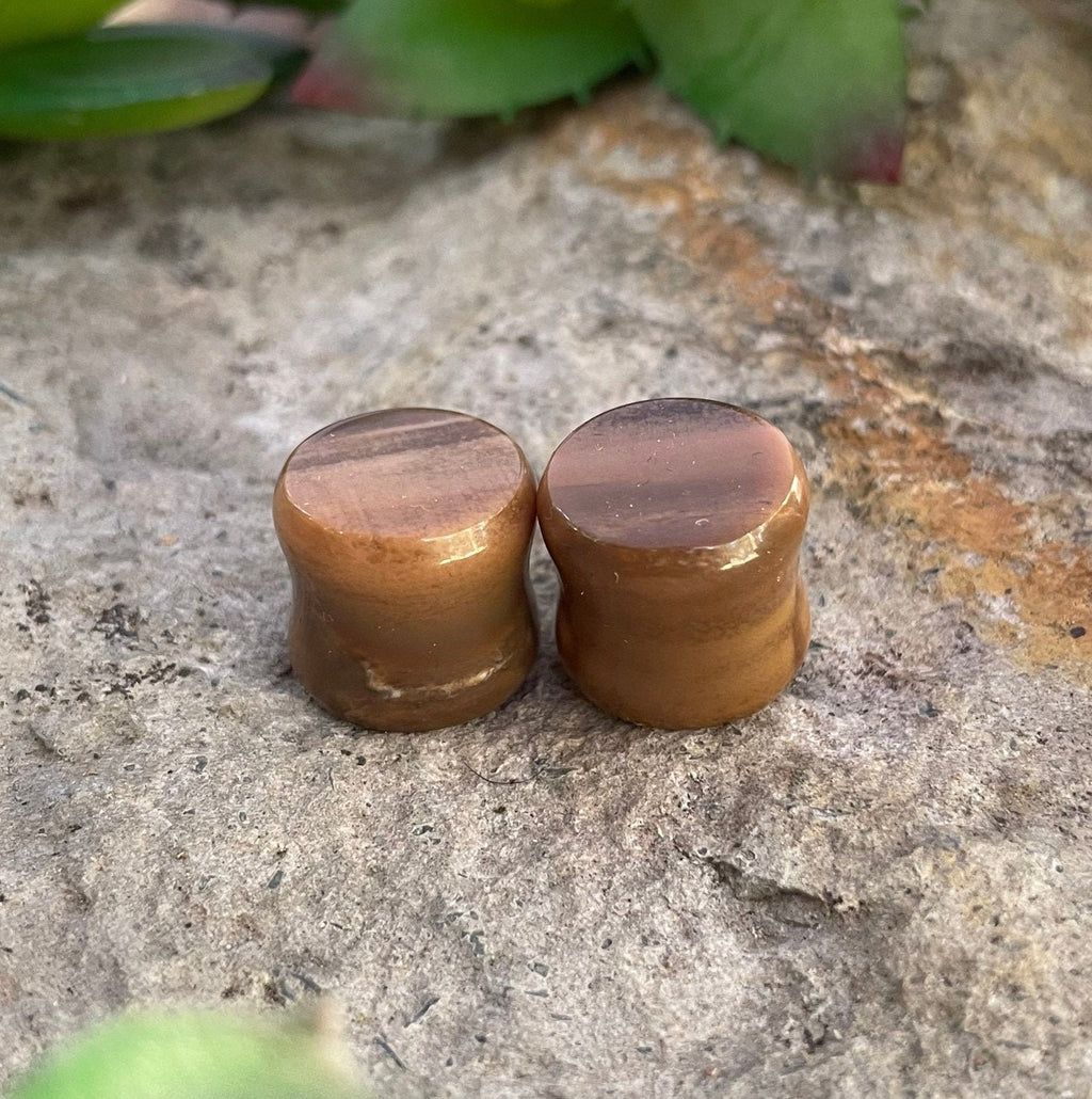 OOAK Petrified Wood Stone Plugs – 1/2" (13mm)