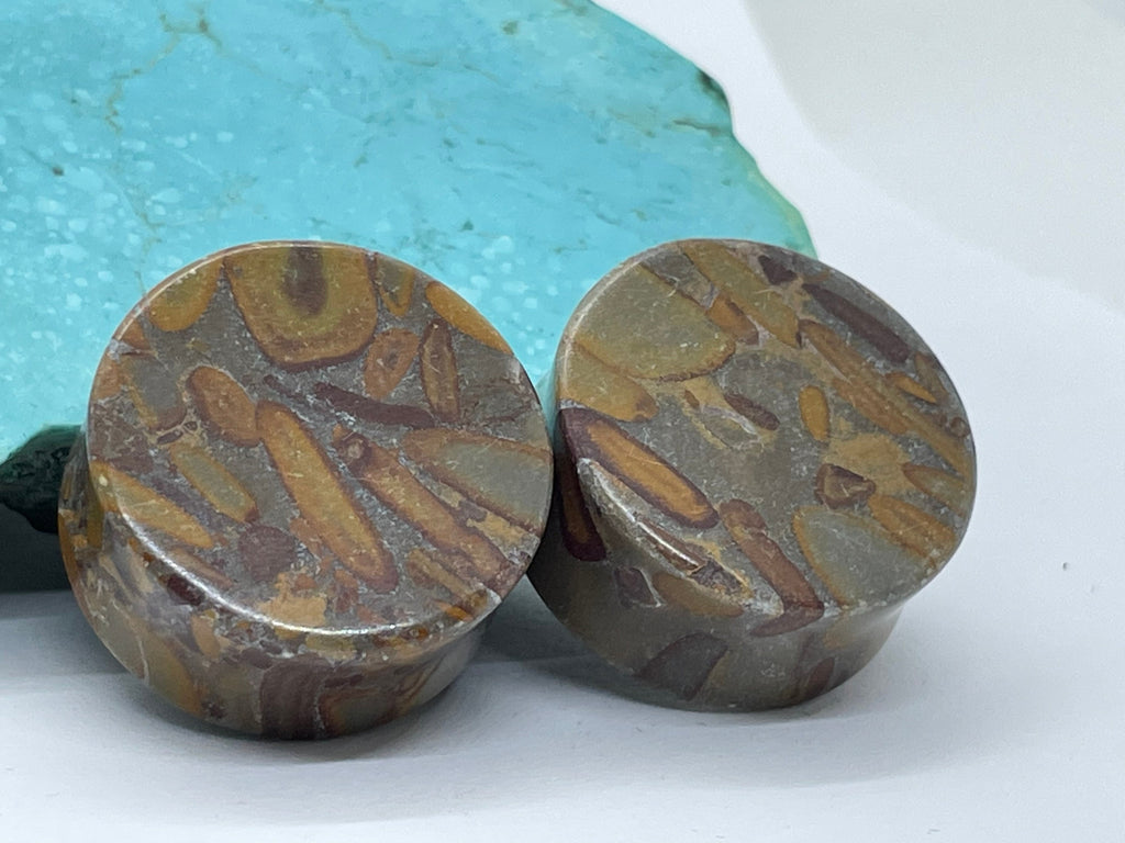 OOAK Jasper Stone Plugs – 1" (25mm)