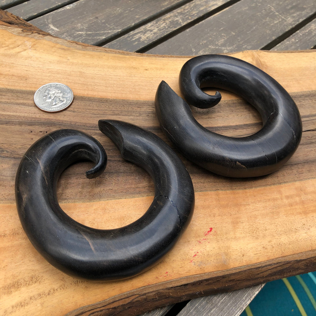 Ebony Wood Hoop Gauges – Limited Edition