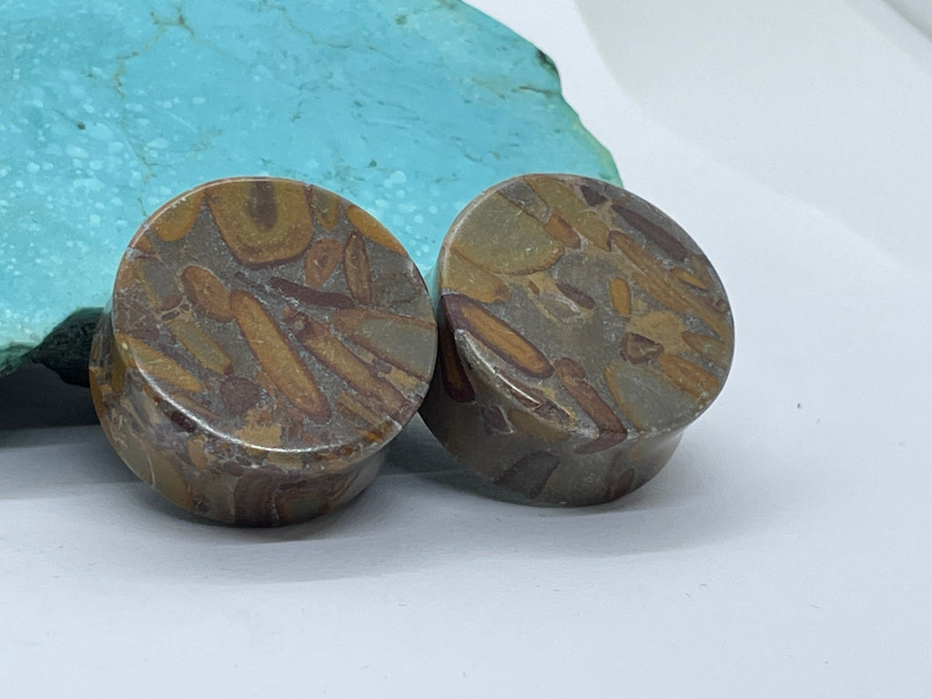 OOAK Jasper Stone Plugs – 1" (25mm)