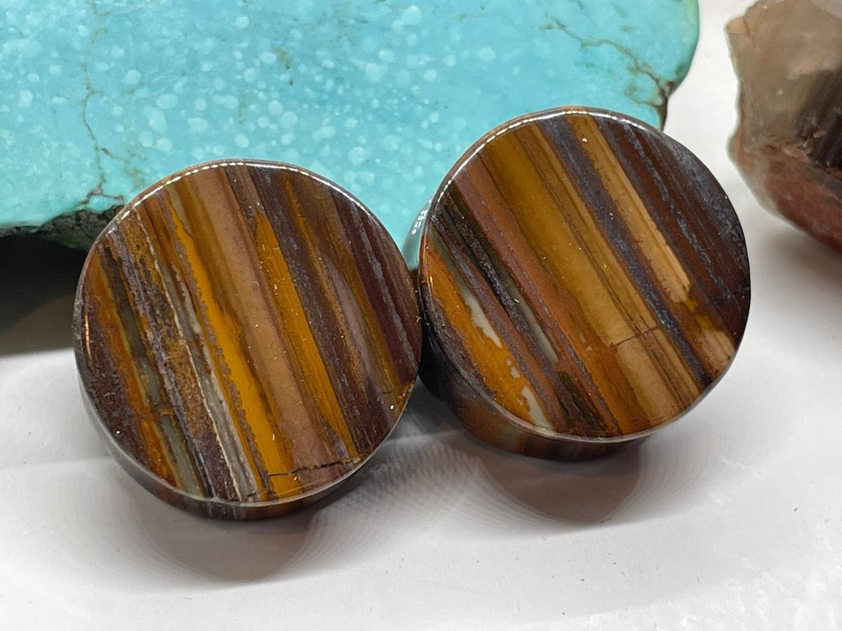 OOAK Tiger Iron Plugs – 7/8" (22mm)