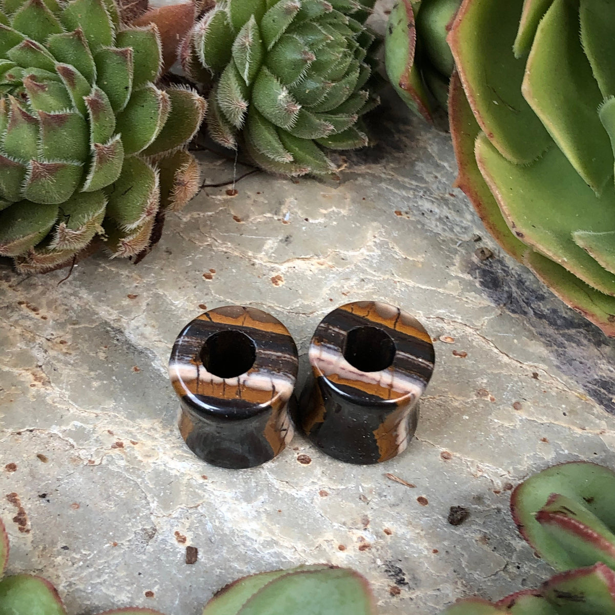 OOAK Tiger Iron Stone Tunnels – 7/16" (11mm)