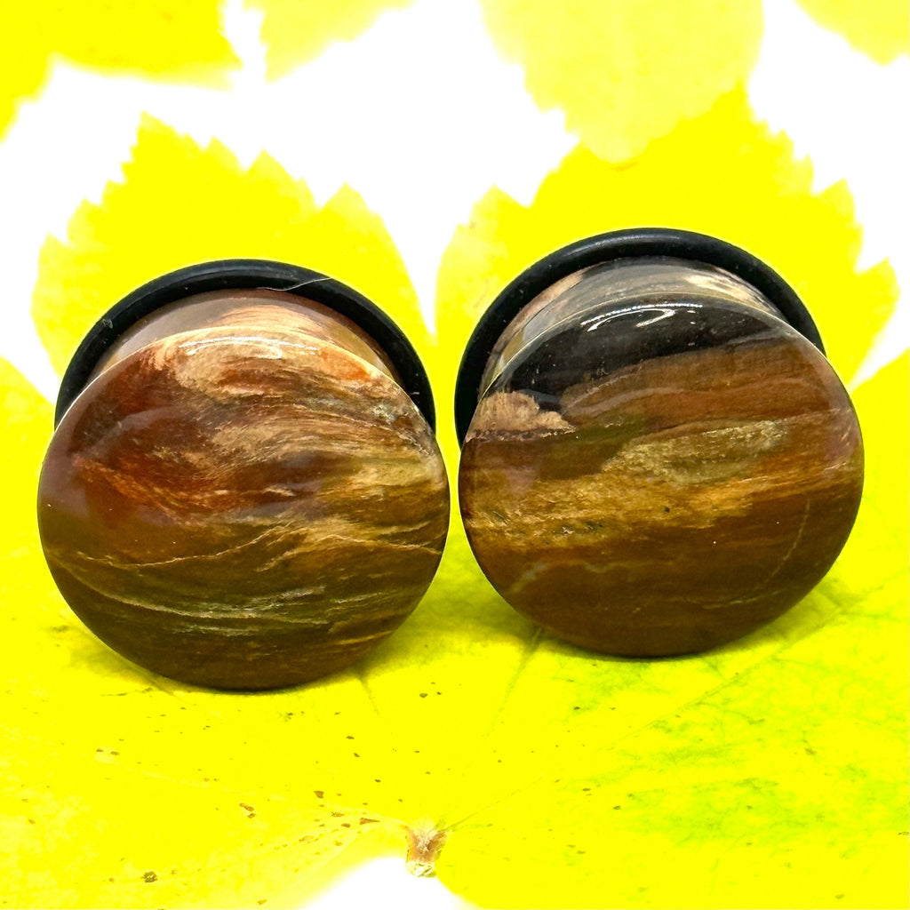 OOAK Petrified Wood Plugs – 3/4" (19mm) Single Flared