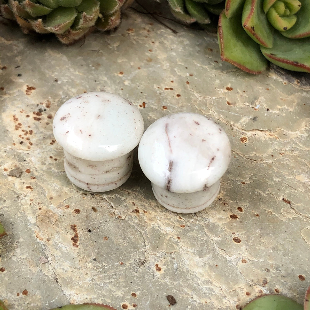 OOAK Pale Beige Stone Plugs – Gemstone Verification Needed