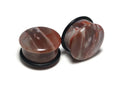 OOAK Petrified Wood Plugs – 7/8" (22mm) Single Flared
