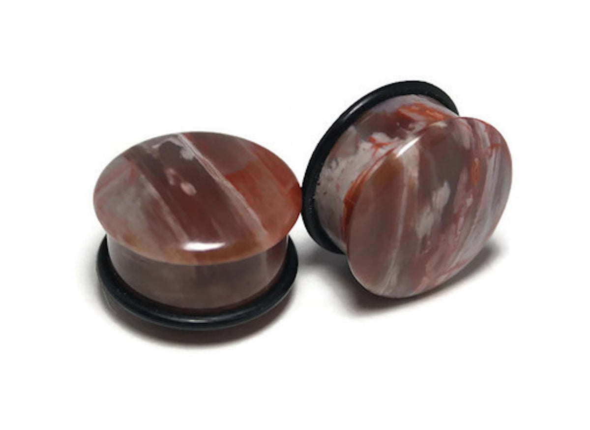 OOAK Petrified Wood Plugs – 7/8" (22mm) Single Flared