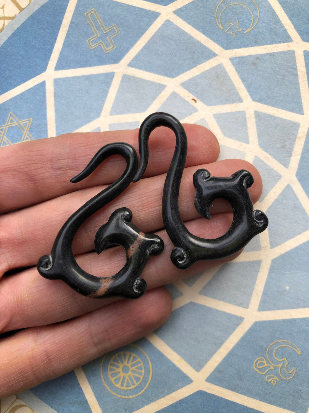Ebony Wood Hoop Earrings – Limited Edition Ear Gauges