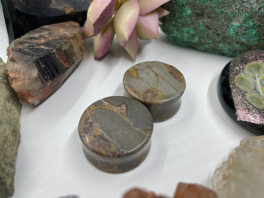 OOAK Grey Bamboo Jasper Plugs – 1" (25mm)