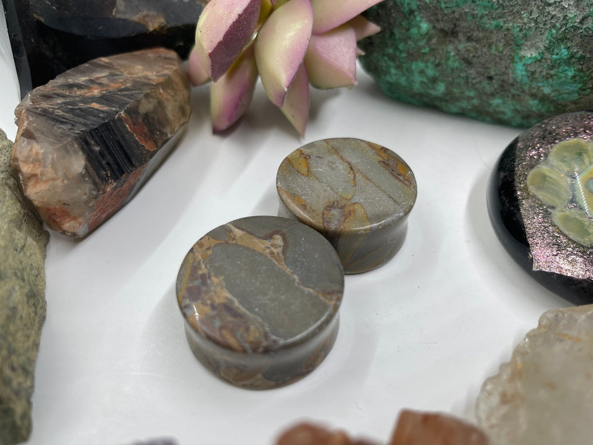 OOAK Grey Bamboo Jasper Plugs – 1" (25mm)