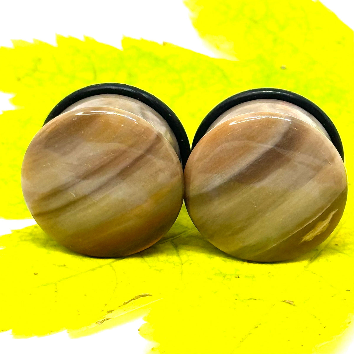 OOAK Petrified Wood Single Flared Stone Plugs – 3/4" (19mm)