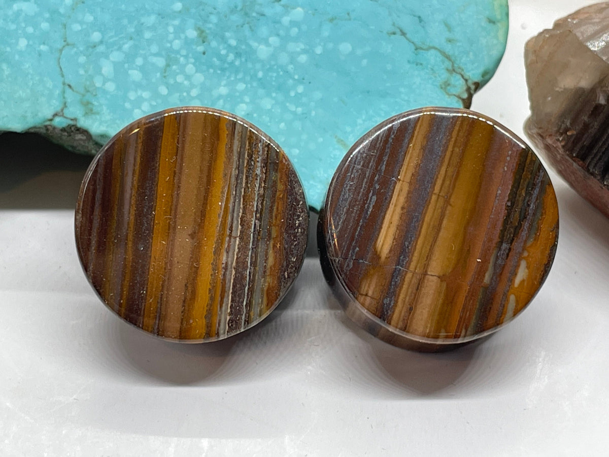 OOAK Tiger Iron Plugs – 7/8" (22mm)