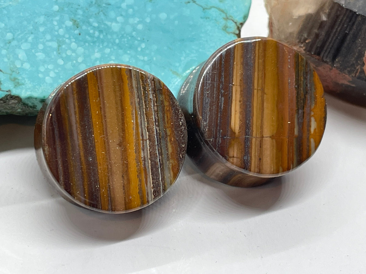 OOAK Tiger Iron Plugs – 7/8" (22mm)