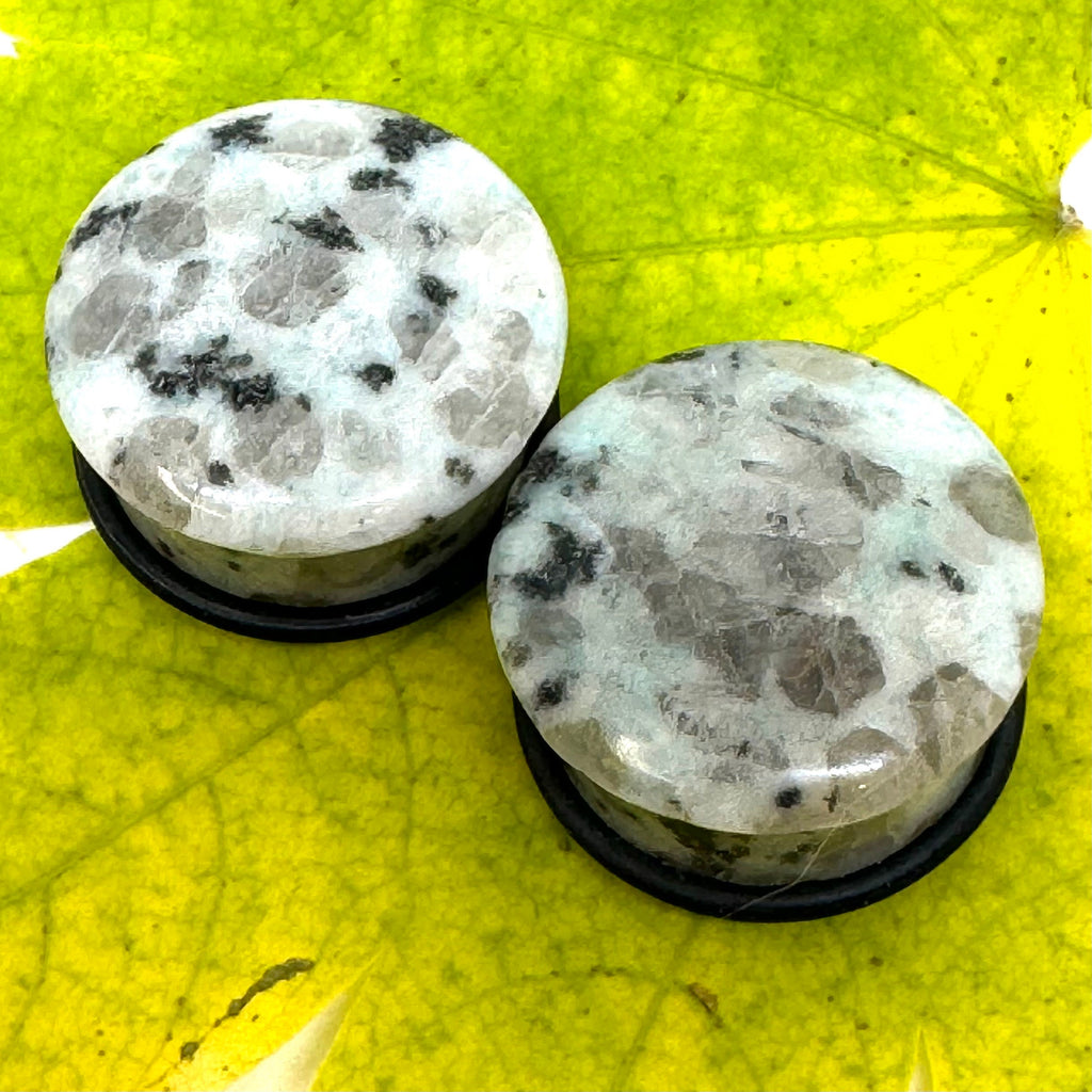 OOAK Dalmatian Jasper Single Flared Plugs – 7/8" (22mm)