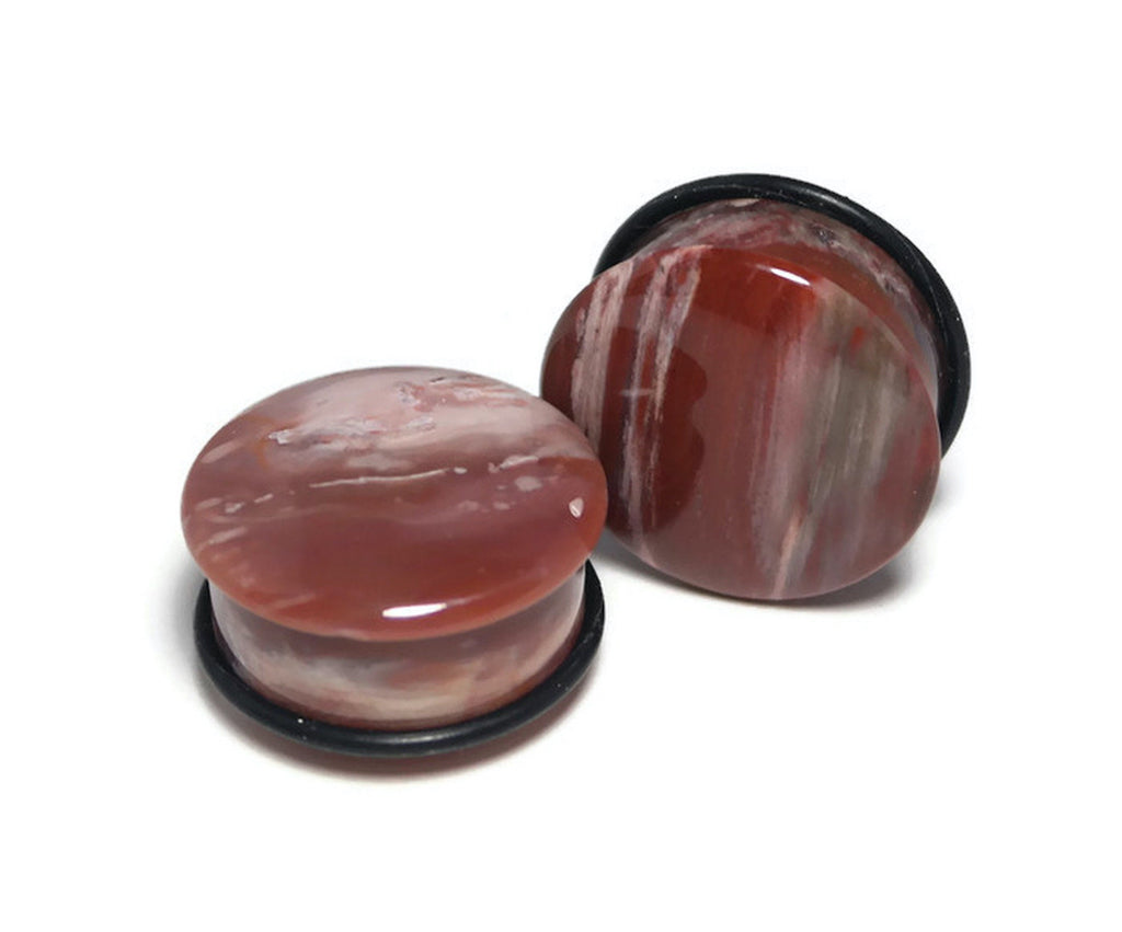 OOAK Petrified Wood Plugs – 1" (25mm) Single Flared