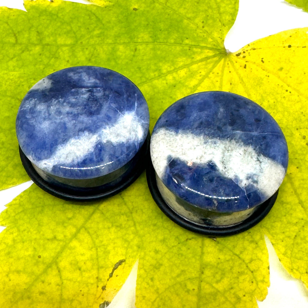 OOAK Sodalite Stone Plugs – 1" (25mm) Single Flared