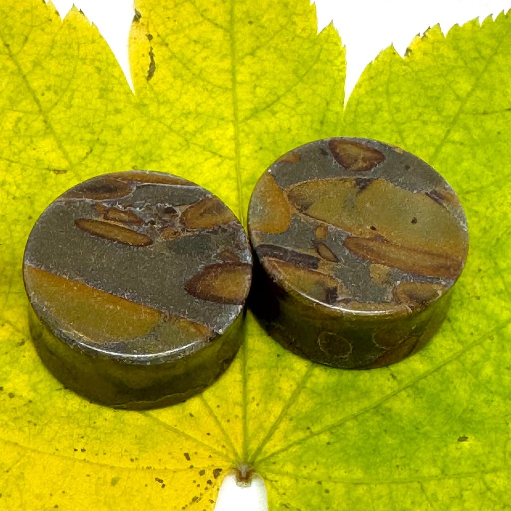 OOAK Bamboo Jasper Plugs – 1" (25mm) Double Flared
