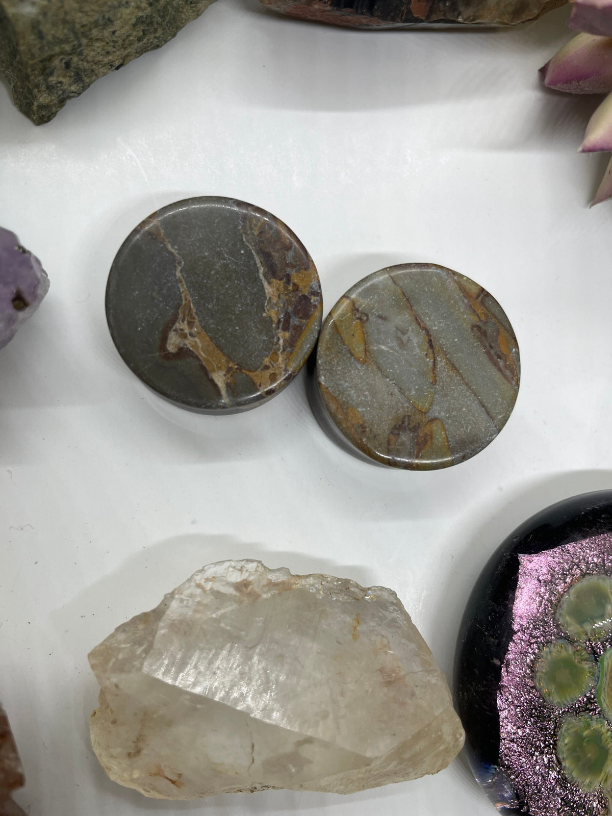 OOAK Grey Bamboo Jasper Plugs – 1" (25mm)