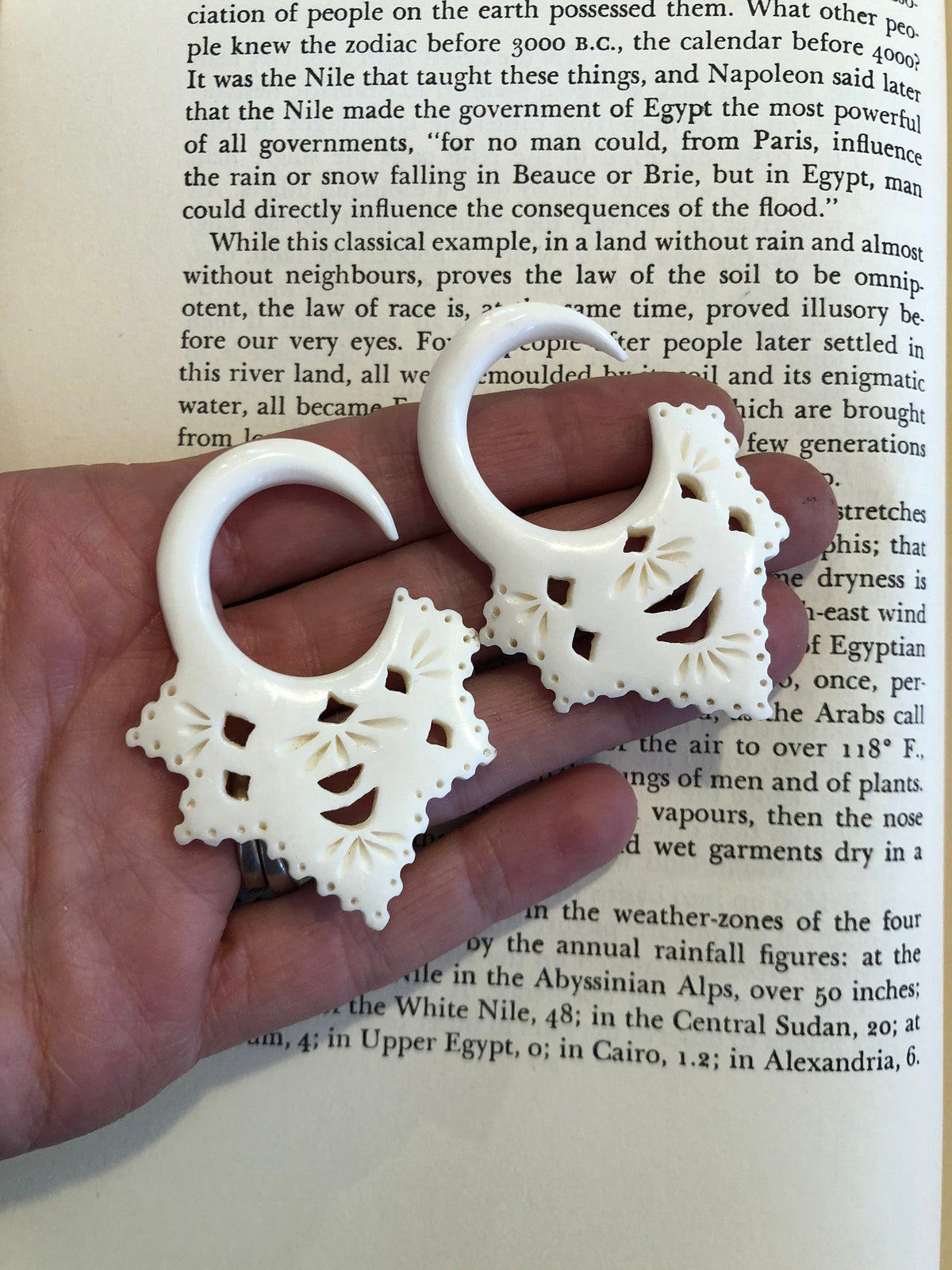 Hand-Carved Bone Gauged Earrings – Openwork Design