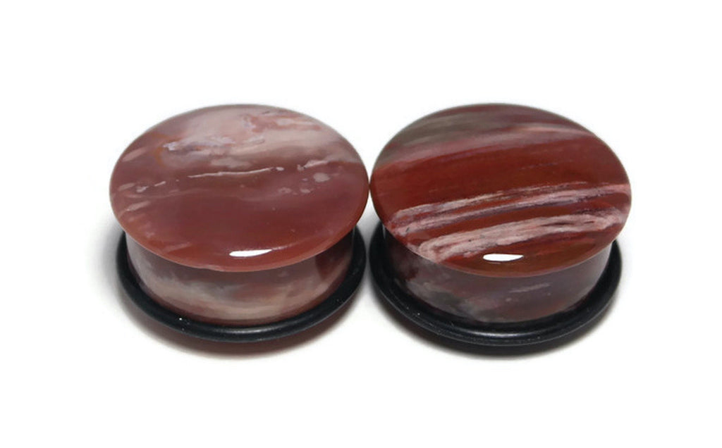 OOAK Petrified Wood Plugs – 1" (25mm) Single Flared