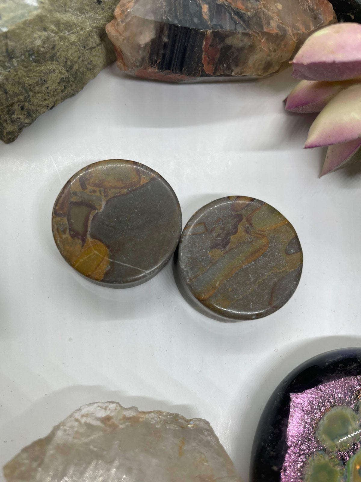 OOAK Grey Bamboo Jasper Plugs – 1" (25mm)