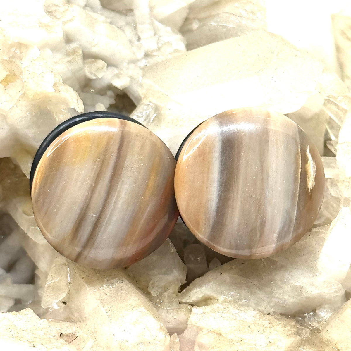 OOAK Petrified Wood Single Flared Stone Plugs – 3/4" (19mm)