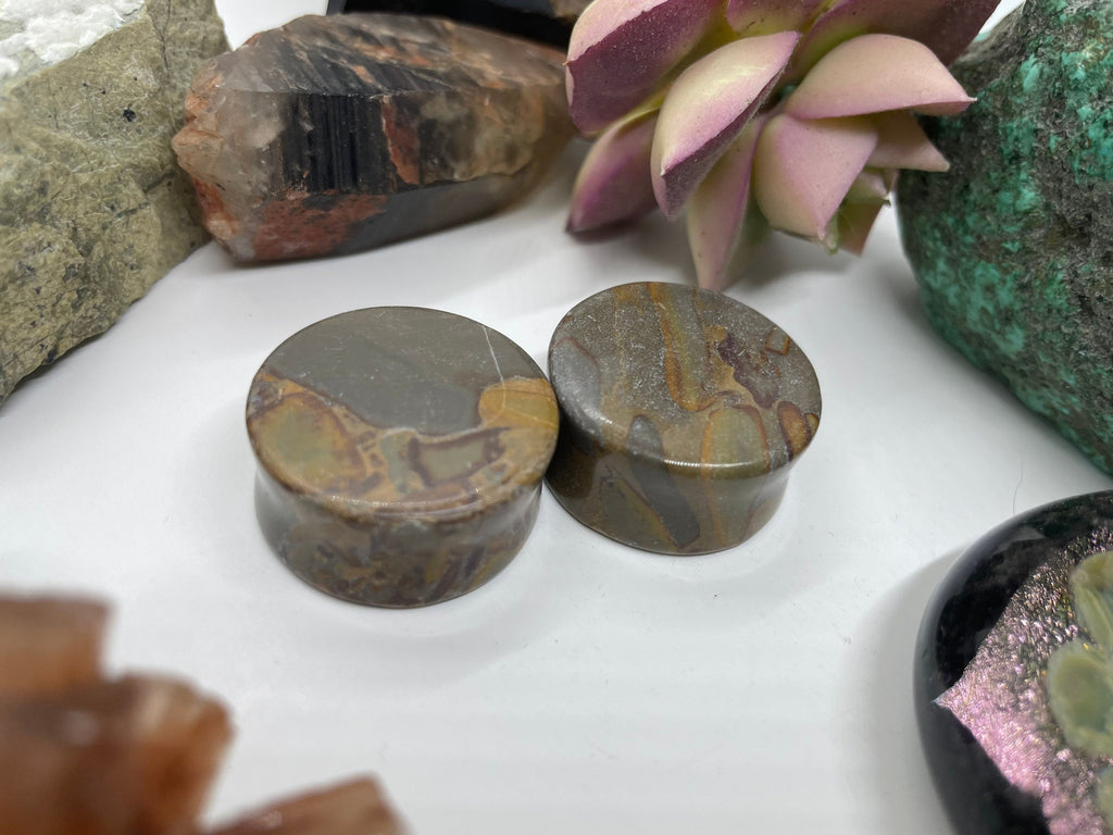 OOAK Grey Bamboo Jasper Plugs – 1" (25mm)
