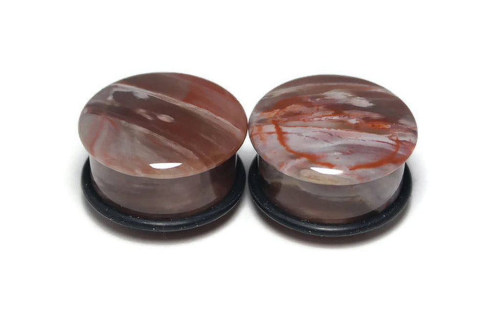 OOAK Petrified Wood Plugs – 7/8" (22mm) Single Flared