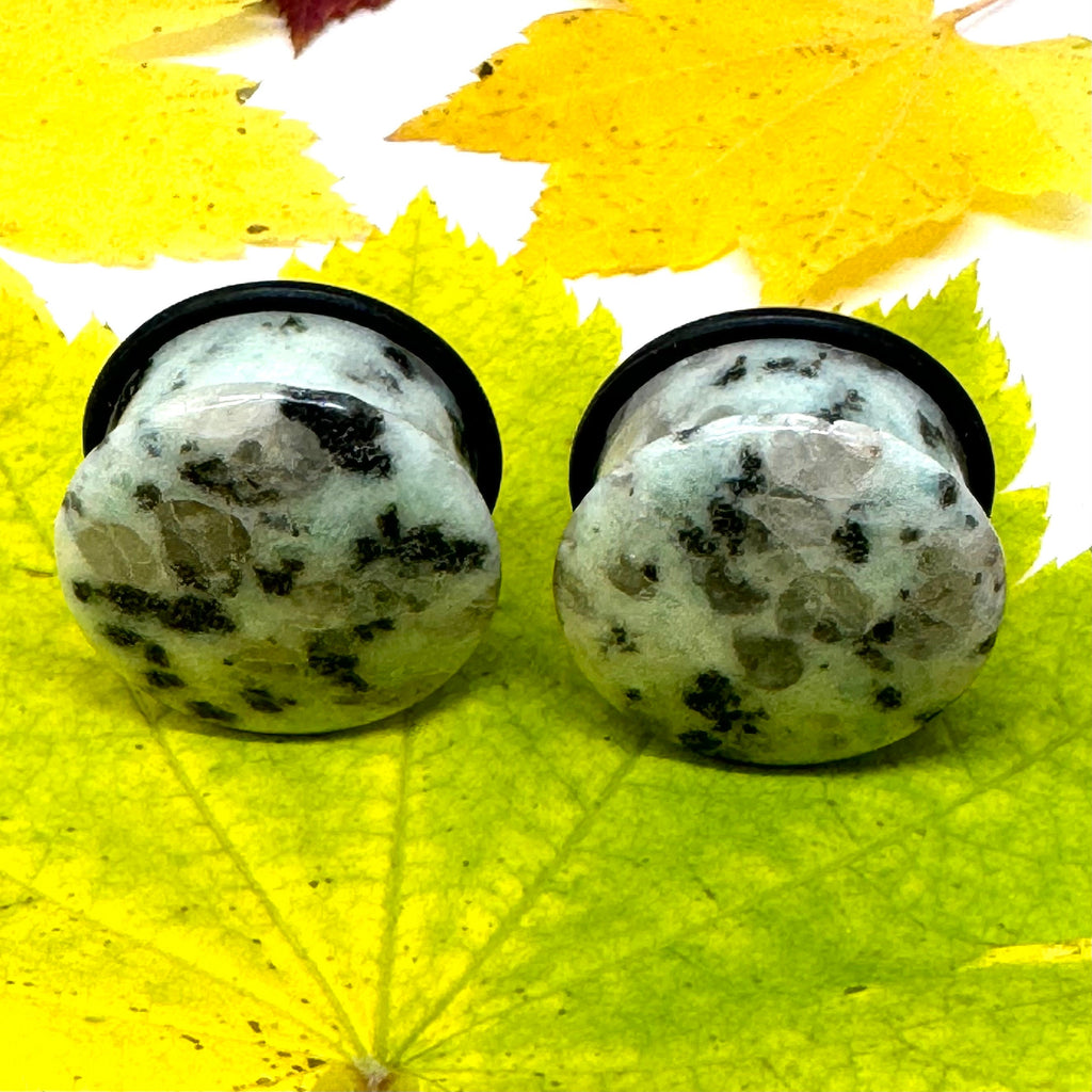 OOAK Dalmatian Jasper Single Flared Stone Plugs – 7/8" (22mm)