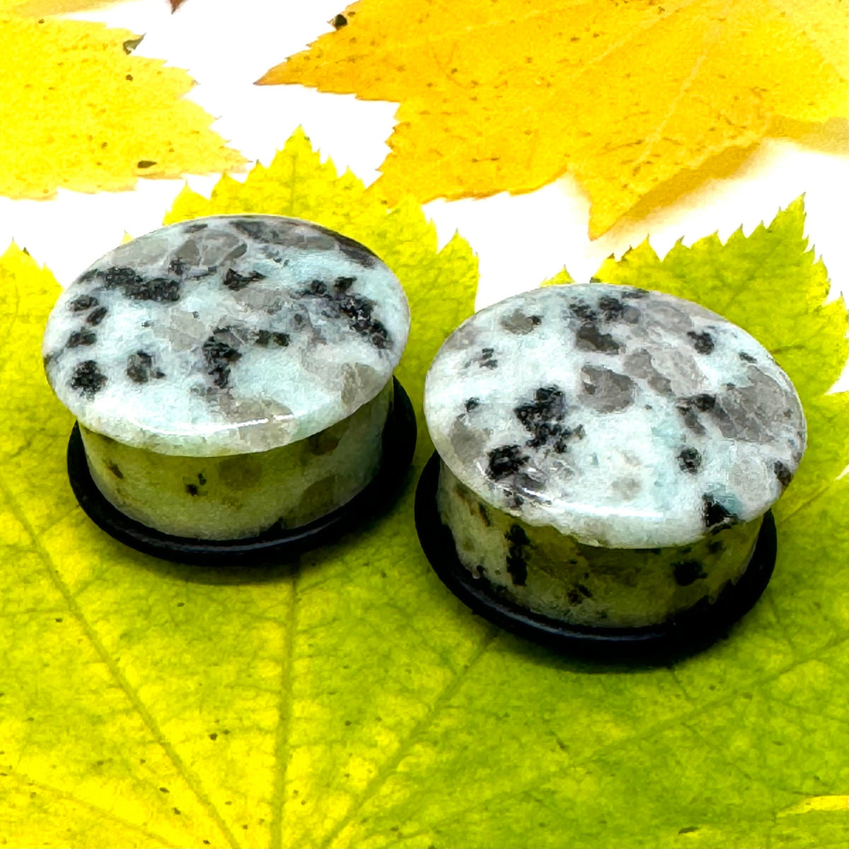 OOAK Dalmatian Jasper Single Flared Stone Plugs – 7/8" (22mm)