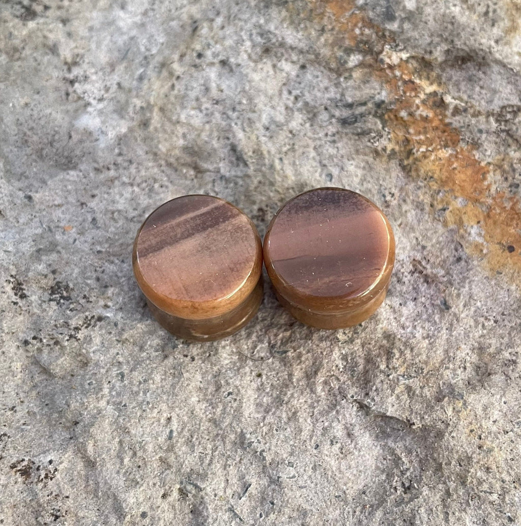 OOAK Petrified Wood Stone Plugs – 1/2" (13mm)
