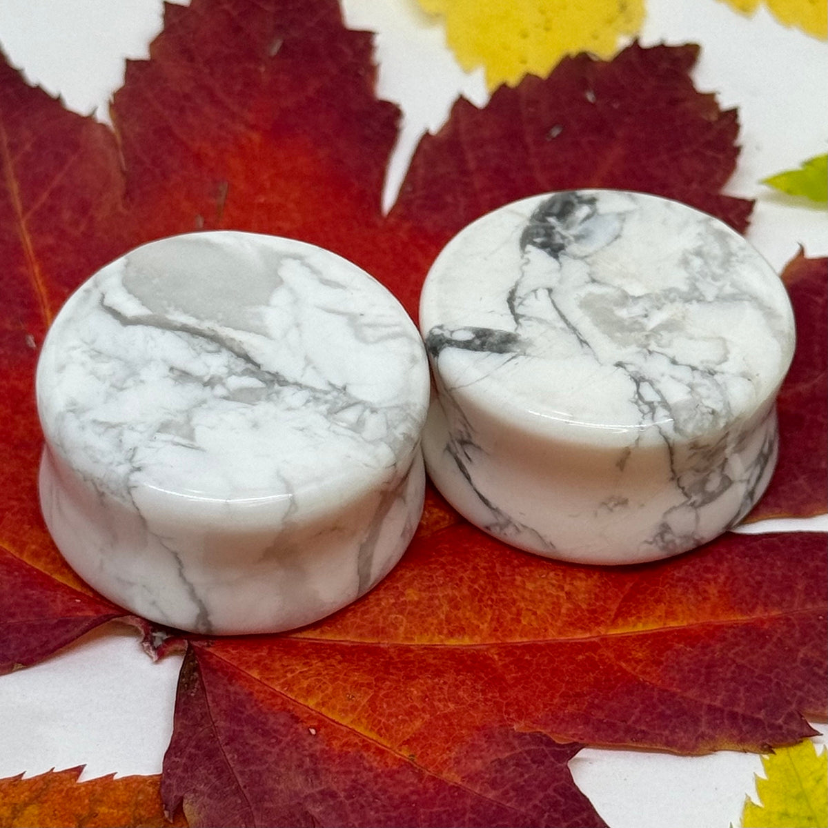 OOAK Howlite Stone Plugs – 1" (25mm)